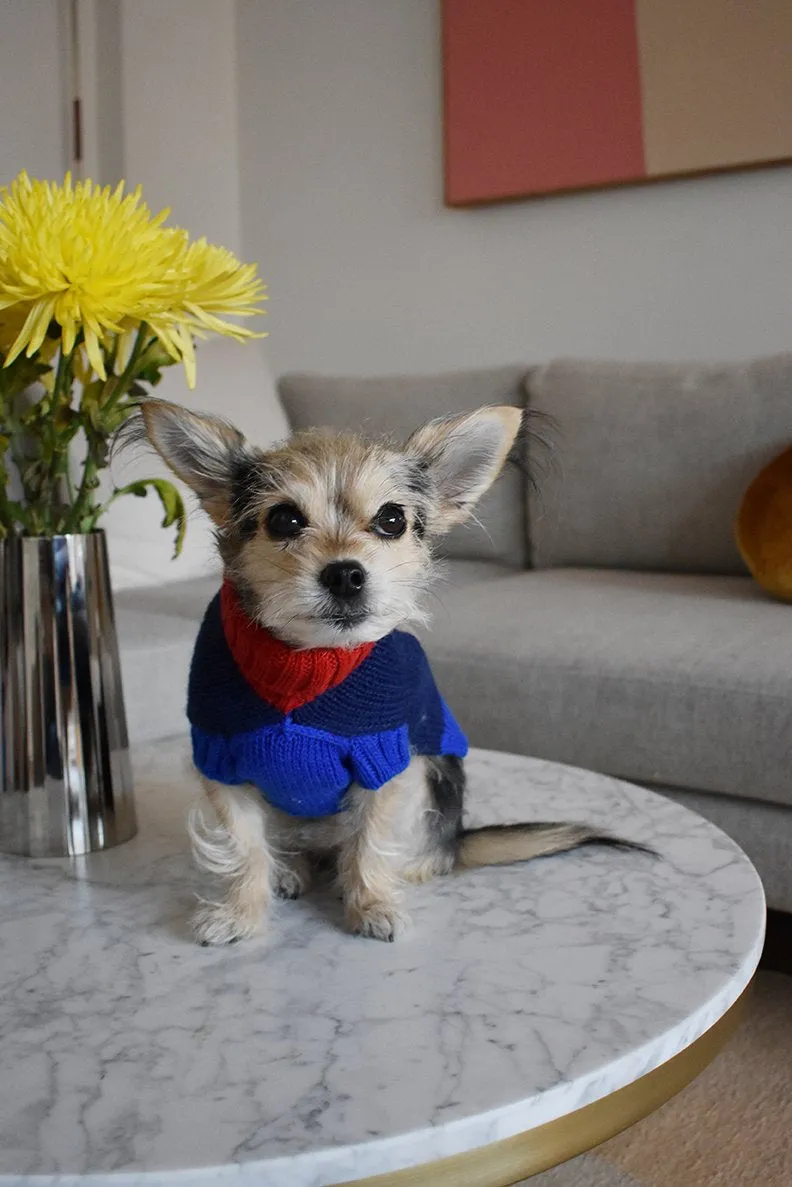 Peanut Butter Dog Sweater