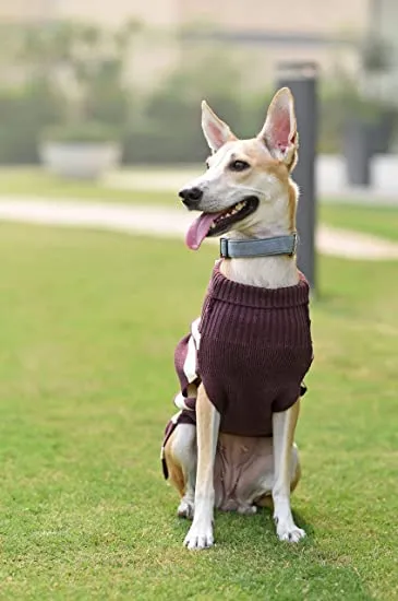 Purple Sweater