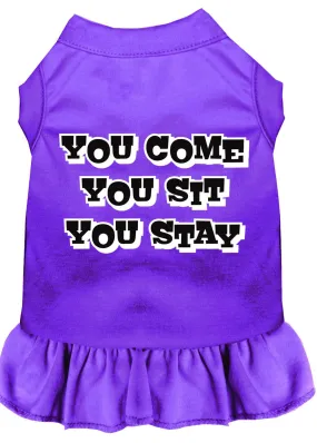 You Come, You Sit, You Stay Screen Print Dress Purple Sm (10)