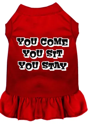 You Come, You Sit, You Stay Screen Print Dress Red 4x (22)